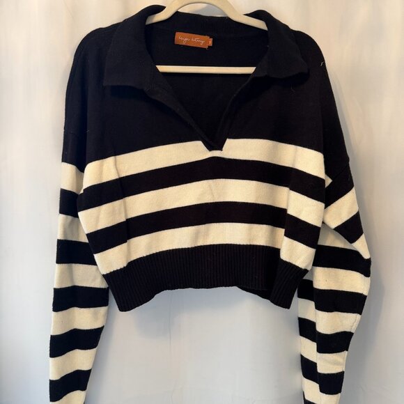 Striped Knit Cropped Sweater - Picture 1 of 1